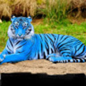 Meet your Posher, Ava